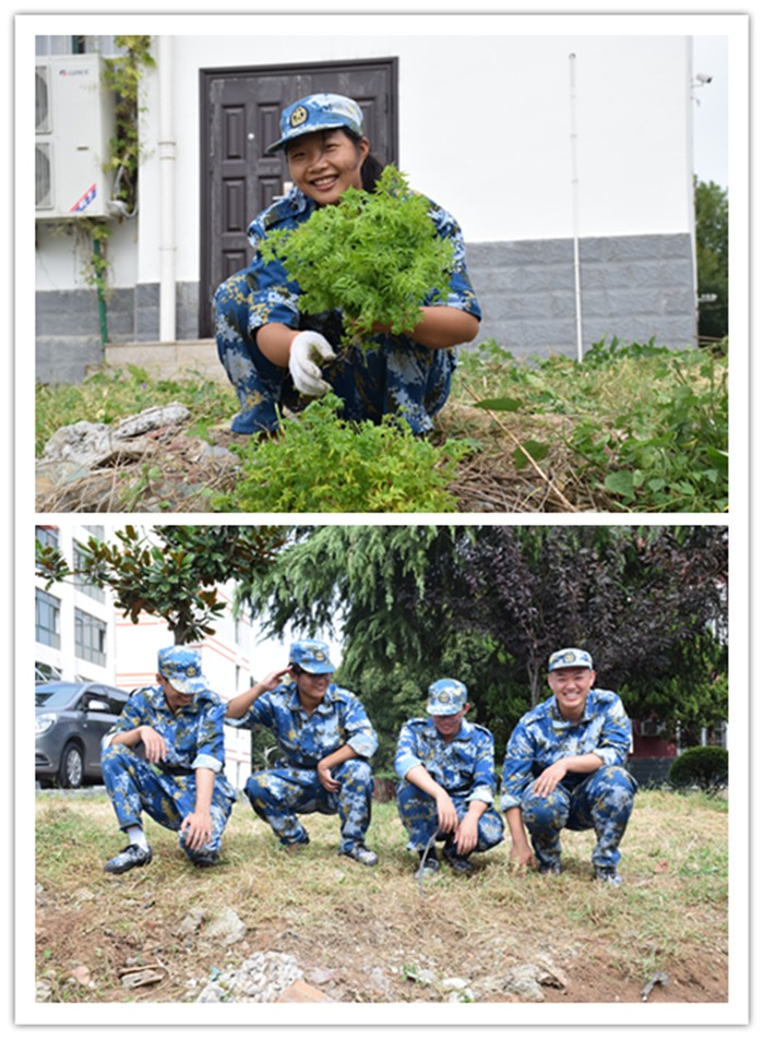 图5.JPG