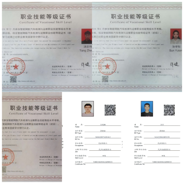 图片9_副本.png