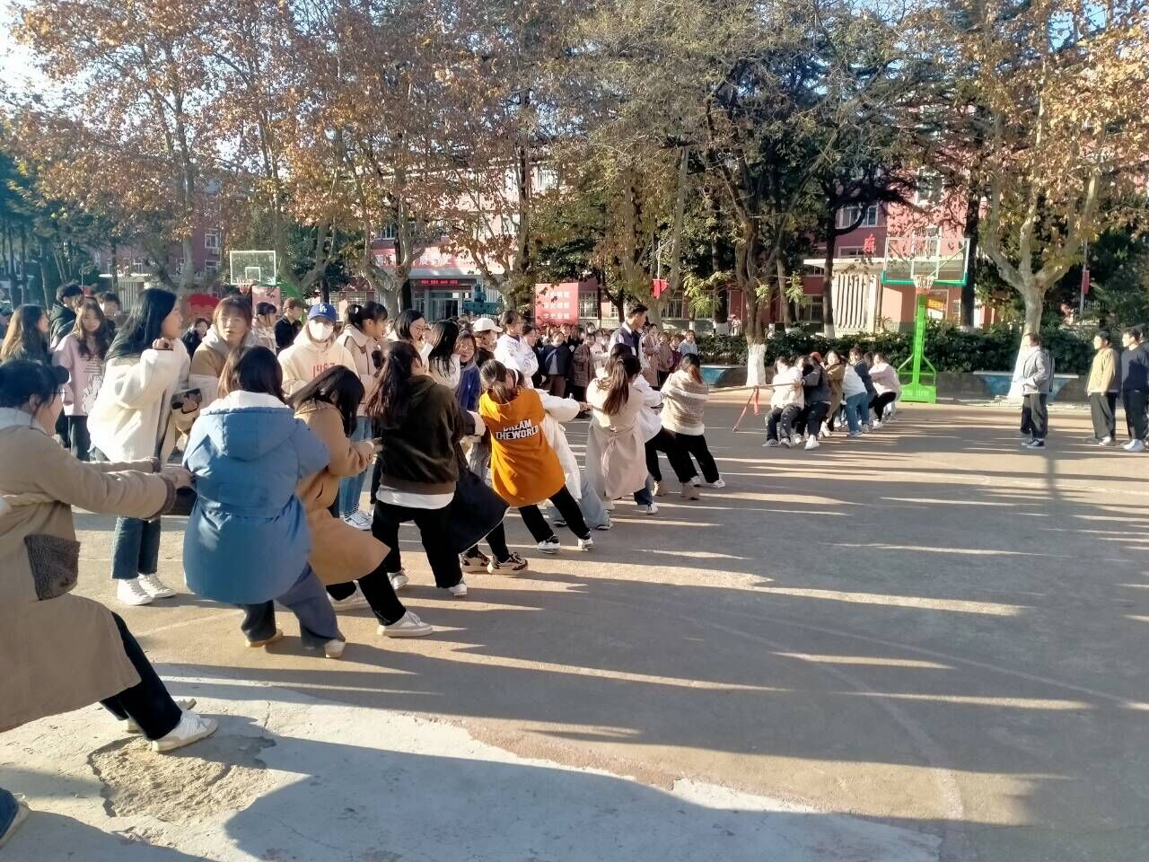 QQ图片20211125105811.jpg