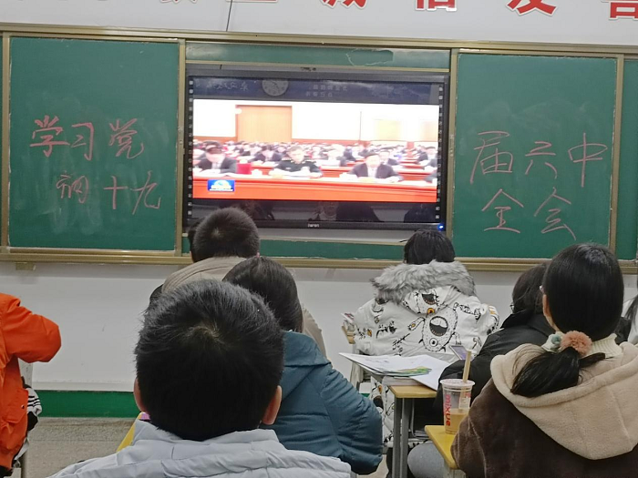 图片1石蕾.png