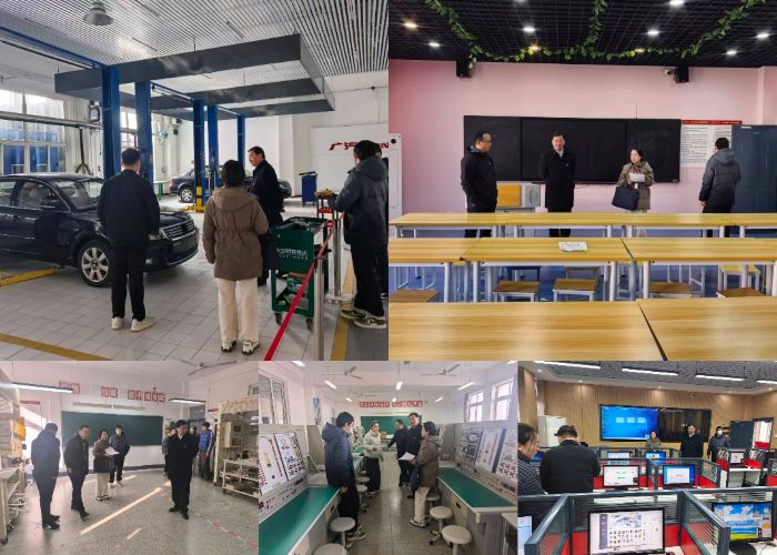 Collage_20251231_142202 (1).jpg Collage_20251231_142202 (1).jpg